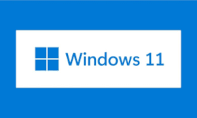 Windows 11